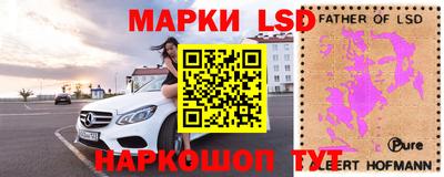 индика Канаш