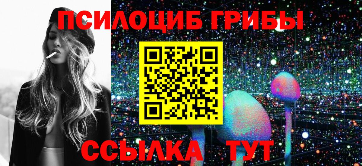 Псилоцибиновые грибы прущие грибы Шахты